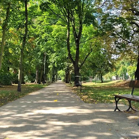 Przy Iv Sluzie - Gold Apartman *