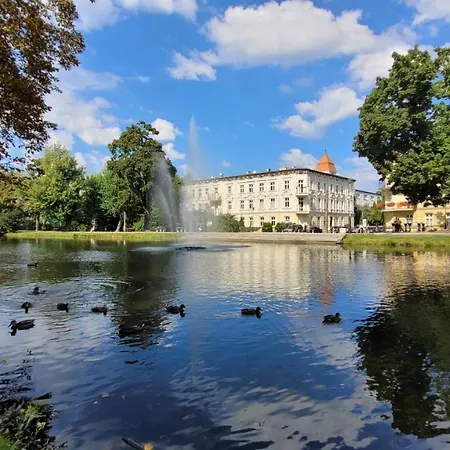 Przy Iv Sluzie - Gold